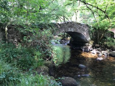 Dartmoor Bridge