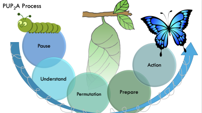 PUPA process