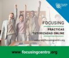 Prácticas Tutorizadas ONLINE