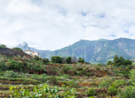 Tenerife