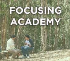 Focusing Academy