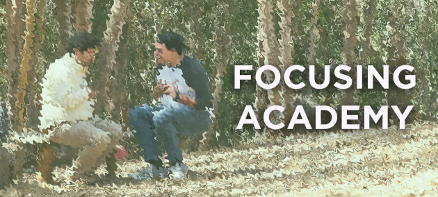 Focusing Academy