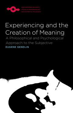 Experiencing and the Creation of Meaning book cover