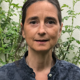Donata Schoeller
