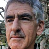 Glenn Fleisch